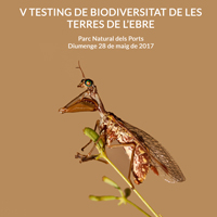 V Testing de Biodiversitat de les Terres de l'Ebre - 2017 V Testing de Biodiversitat de les Terres de l'Ebre - 2017