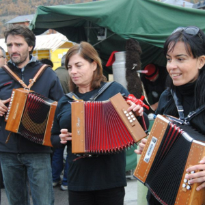 Acordió