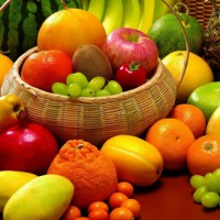 Alimentació