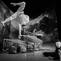 Espectacle 'All genius all idiot' de Svalbard Company Espectacle 'All genius all idiot' de Svalbard Company