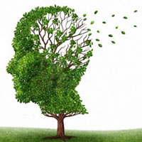 Alzheimer Alzheimer