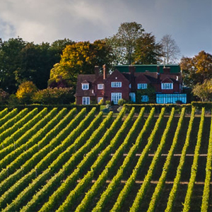 Anglaterra terra de vins