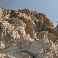 Anima Naturae