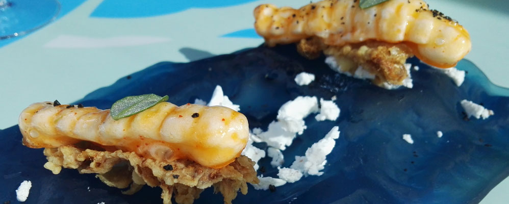 Galera - Jornades gastronòmiques de la galera de L'Antic Molí 2016 Galera - Jornades gastronòmiques de la galera de L'Antic Molí 2016