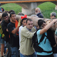 Festa Arbre de Maig