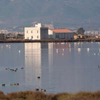 Aus - MónNatura Delta de l'Ebre