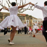 Ballada sardanes