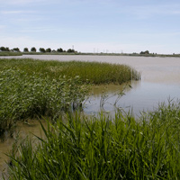 Bassa de les Olles