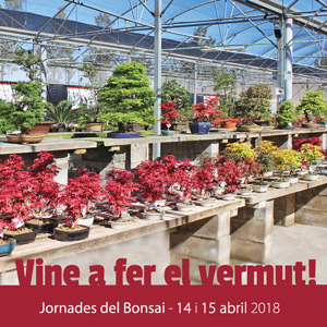 Jornades del bonsai - Mistral Bonsai 2018