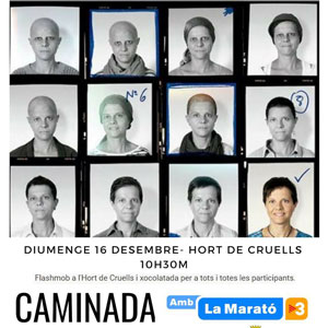 Caminada per La Marató a Roquetes - 2018