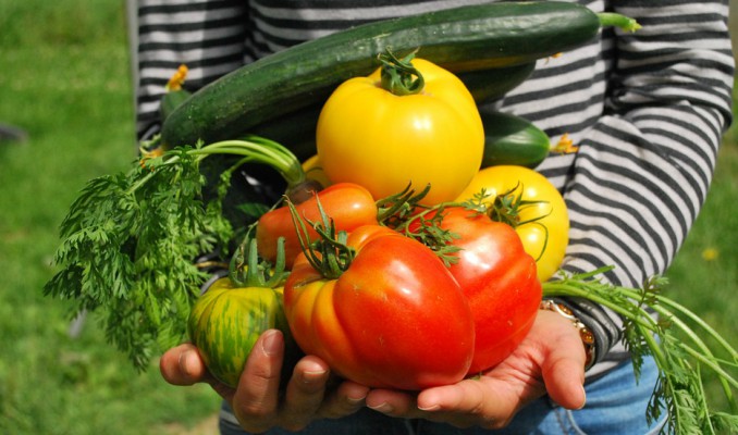 Viu l'Hort