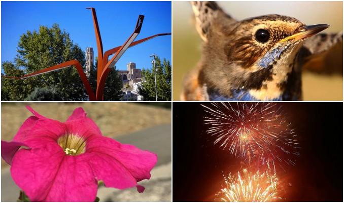 instagram, fotografies, octubre, 2016, cap de setmana, Surtdecasa Ponent