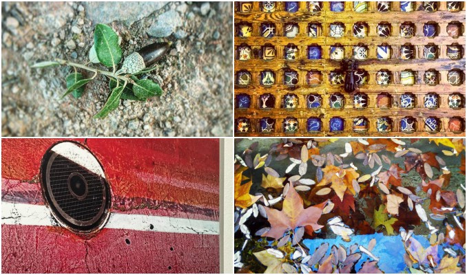 instagram, fotografies, Cap de setmana, Ponent, novembre, 2016