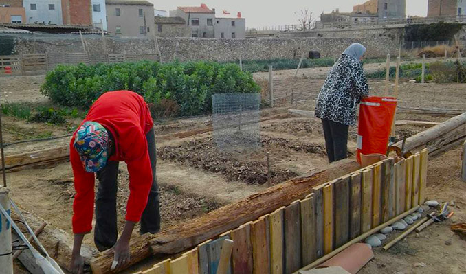 agricultura ecològica