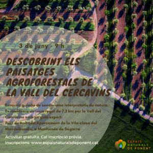 Cercavins