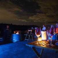 Vi sota les estrelles Vi sota les estrelles