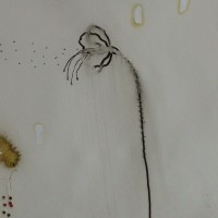exposició, mostra, art, galeria, cavallers, espai, Massana, Juanpere, Llull, Surtdecasa Ponent, 2016
