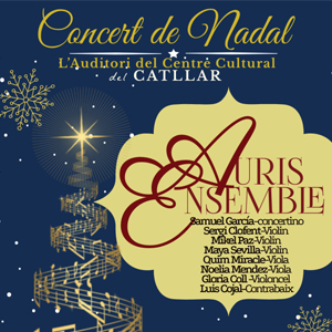 Concert de Nadal amb orquestra ‘Auris Ensemble’, al Catllar Concert de Nadal amb orquestra ‘Auris Ensemble’, al Catllar