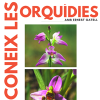 Coneix les orquídies - GEPEC Coneix les orquídies - GEPEC