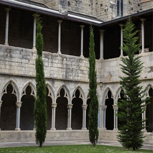 Convent Sant Domènech Convent Sant Domènech