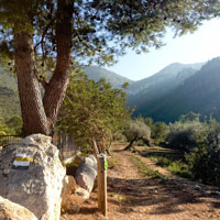 Corral Nou - Freginals