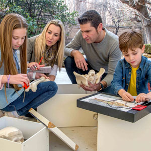 Activitat, Familiar, CSI, Necròpolis Paleocristiana, Tots Sants, Tàrraco, Museu Nacional Arqueològic de Tarragona, Tarragona, Camp de Tarragona, 2018 Activitat, Familiar, CSI, Necròpolis Paleocristiana, Tots Sants, Tàrraco, Museu Nacional Arqueològic de Tarragona, Tarragona, Camp de Tarragona, 2018