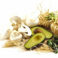 Cuina ecològica