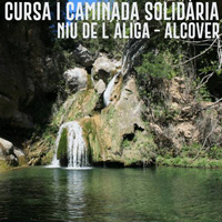 1a Cursa-caminada Niu de l'Àliga - Alcover 2017