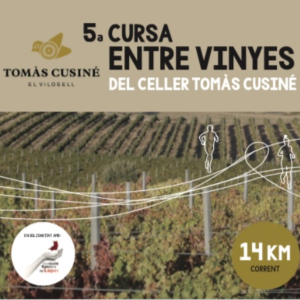 5a Cursa Entre Vinyes
