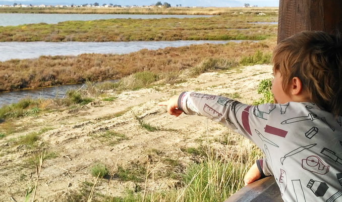 Delta de l'Ebre amb nens