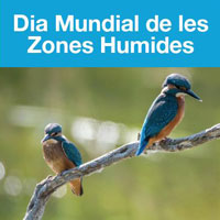 Dia Mundial de les Zones Humides Dia Mundial de les Zones Humides