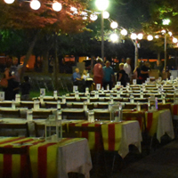 Diada Olesa
