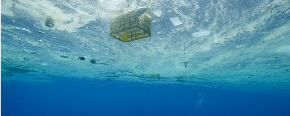 Fotograma "A plastic ocean" Fotograma "A plastic ocean"
