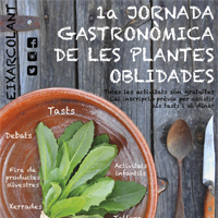 Jornada Plantes Oblidades