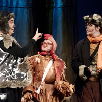 Els músics de Bremen in concert - Cia. Pot de Teatre