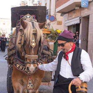 Els Tres Tombs - El Perelló 2019 Els Tres Tombs - El Perelló 2019