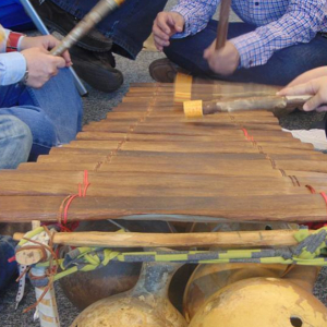 Escolta, descobreix i crea la teva música