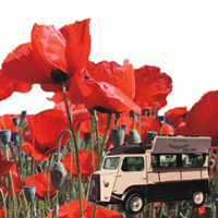 Festa de la Primavera