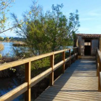Estany Ivars, Urgell, Surtdecasa Ponent, Àngels Marzo, juny, vers