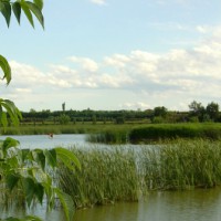 Estany, Ivars d'Urgell, Vila-Sana, Pla d'Urgell, juny, casal d'estiu, setmana natural per a joves, Surtdecasa Ponent, joves, activitats