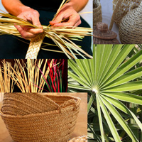 Fibres vegetals - Museu de la Pauma Fibres vegetals - Museu de la Pauma
