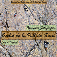 Cartell de l'exposició Fotogràfica 'Ocells de la Vall de Siarb