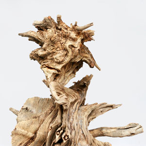 Exposició 'Mitologia i natura' d'Evelí Adam