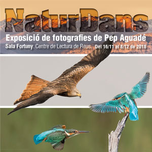 Exposició ‘NaturDance’ de Pep Aguado Exposició ‘NaturDans’ de Pep Aguado