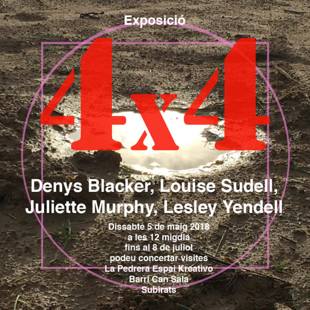 Exposició 4x4