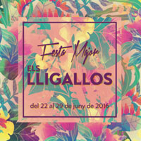 Festa Major - Els Lligallos 2016 Camarles