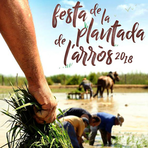 Festa de la Plantada de l'arròs - Amposta 2018