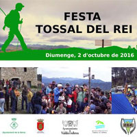 Festa del Tossal del Rei - La Sénia 2016