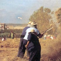 La Fuliola, Festa del Segar, Festa del Batre, tradicions, Recreació, patrimoni, Agricultura, Lleida, Urgell, Surtdecasa Ponent, juliol