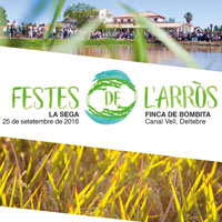 Festes de l'Arròs - La Sega - Deltebre 2016 Festes de l'Arròs - La Sega - Deltebre 2016